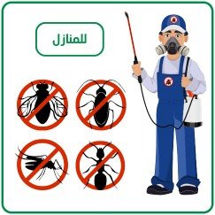 شركة رش حشرات ورش مبيدات حشرية بالكويت